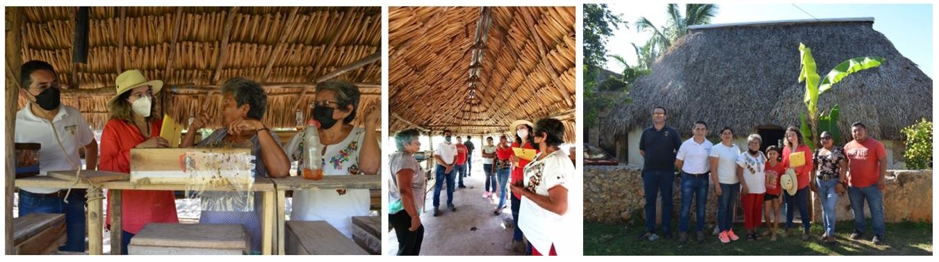 5 Aldea Inteligente instalada en la comunidad de Ticum.jpg Aldea Inteligente instalada en la comunidad de Ticum, Tekax, en la que se se produce miel de abeja.
