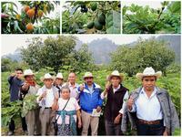 3 Productores de aguacate higo y durazno.png