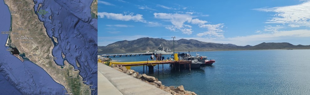1 ISLA MARGARITA.jpg Isla Margarita tiene una longitud de 40 kilómetros y está ubicada en la costa del pacífico de Baja California Sur. Mapa recuperado de las imágenes satelitales de Google Maps.
