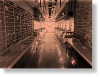 TELECOMUNICACIONES 06.jpg