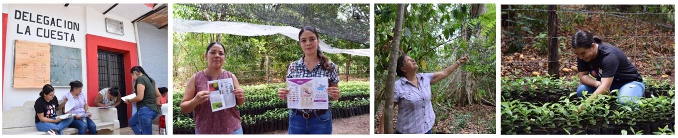 8 Kancab Tekax Yucatán 3327 habitantes.jpg