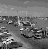 Puerto de Yukalpetén.png