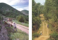 1 Dos caminos en construcción.jpg