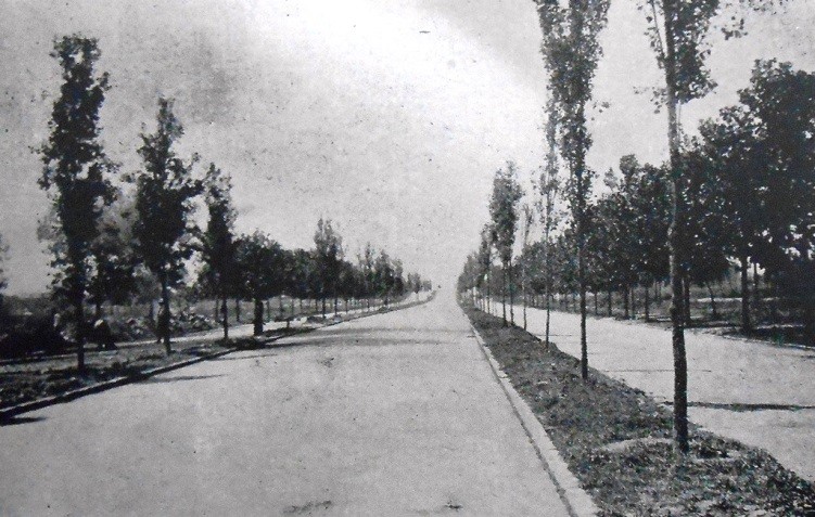 La Avenida Insurgentes La Avenida Insurgentes