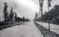 La Avenida Insurgentes