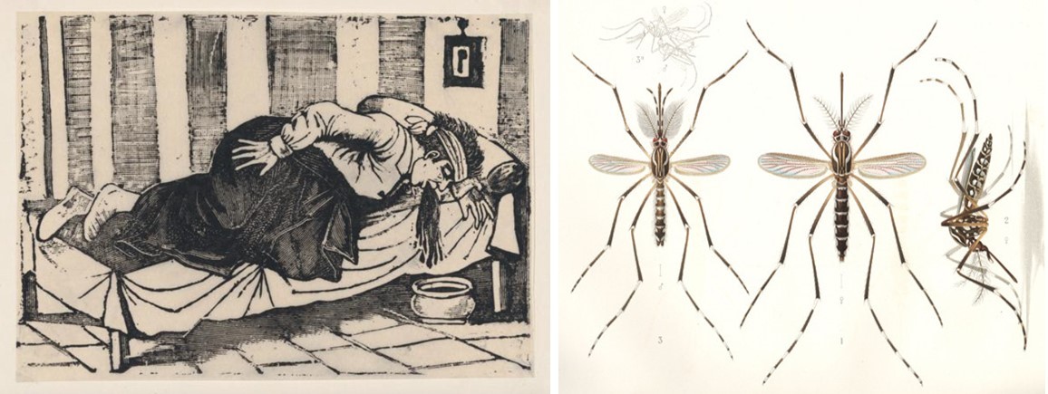 8 El vómito prieto o negro se contagia .jpg