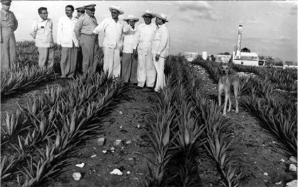 ¡Gloria a Yucatán! El ferrocarril en la península ¡Gloria a Yucatán! El ferrocarril en la península