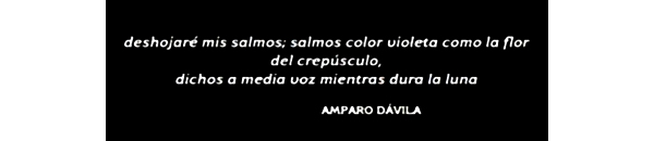 6 CITA 02 -AMPARO DAVILA.jpeg