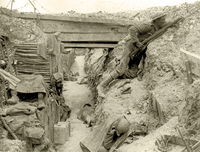 trinchera2.png