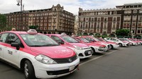 Taxis rosas con blanco.jpg